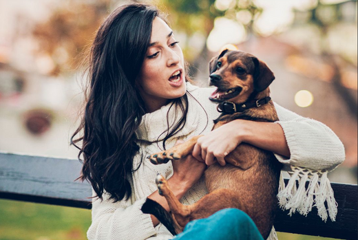 Célébrer la Saint Valentin avec votre animal ?