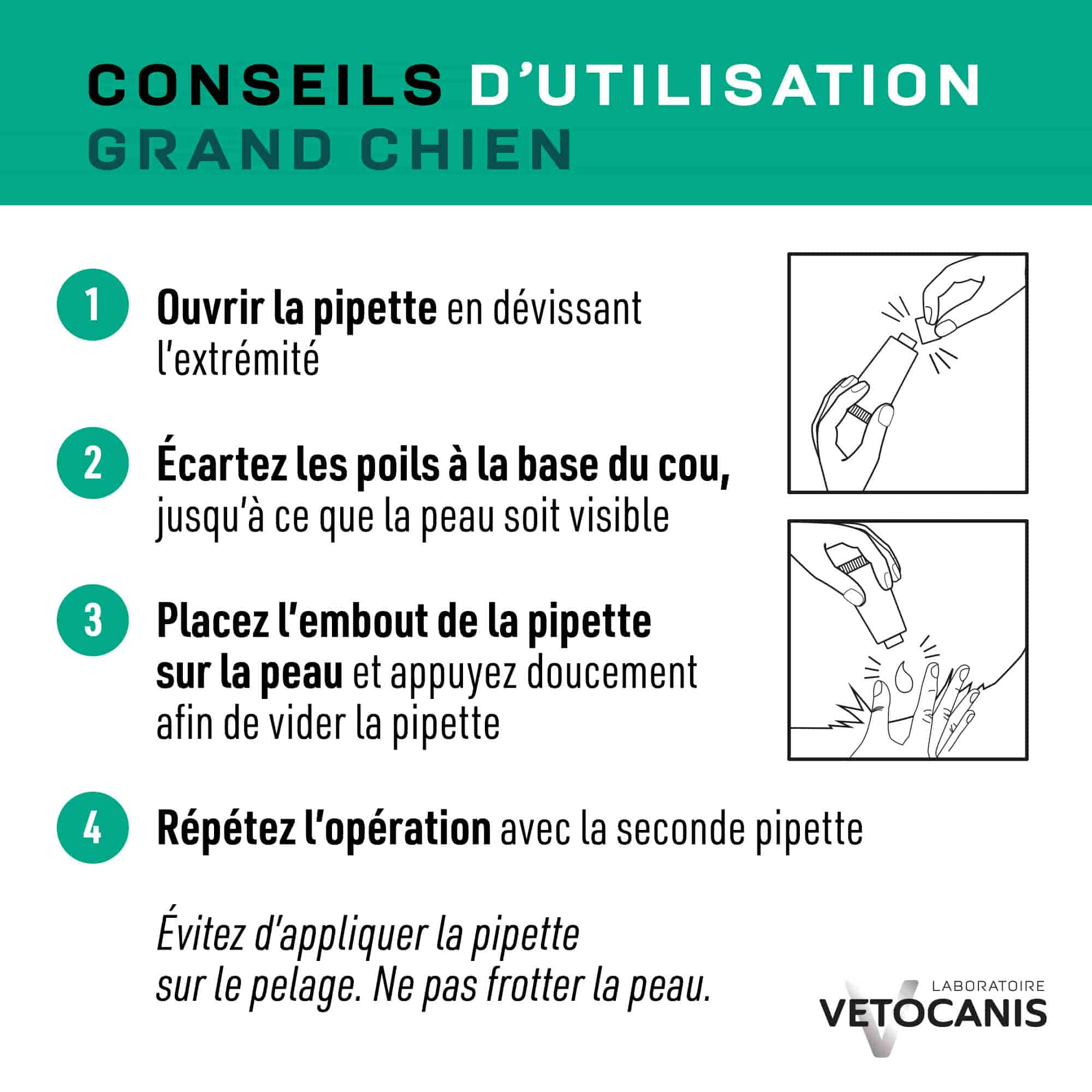 Conseils d'utilisation pipette grand chien