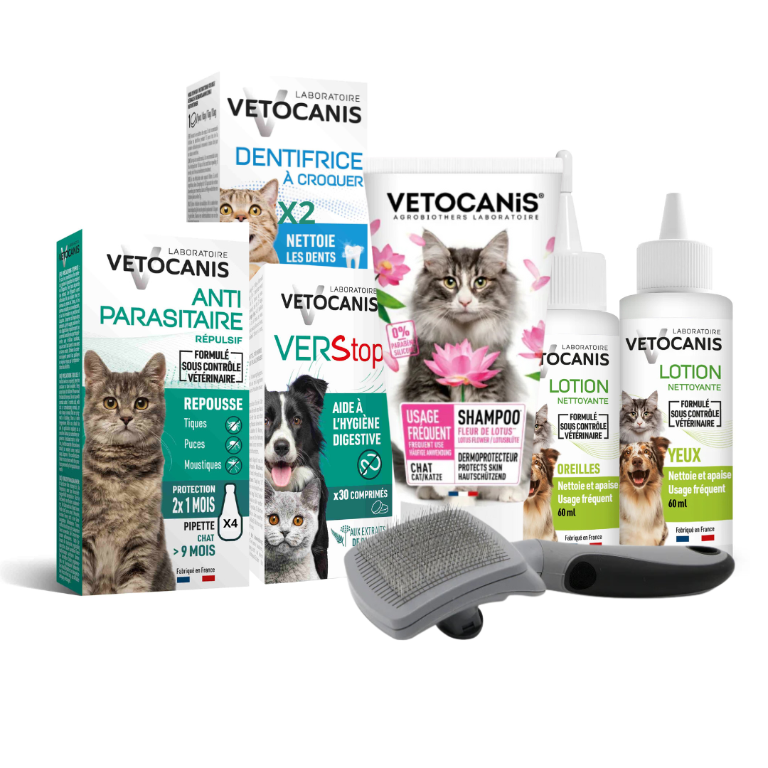 Kit Essentiels pour Chat avec brosse