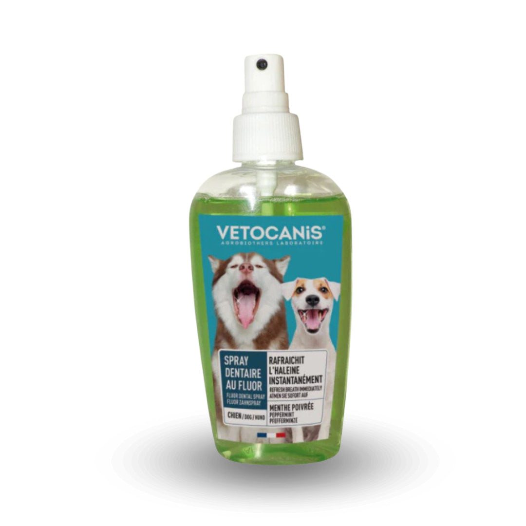 spray dentaire chien