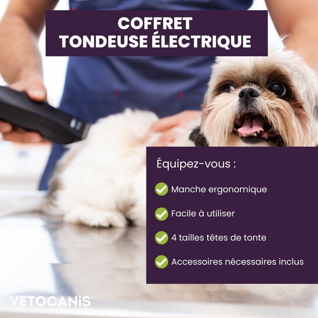 Kit de coupe de tondeuse électrique pour poils d'animaux de compagnie  Tondeuses de toilettage Setd