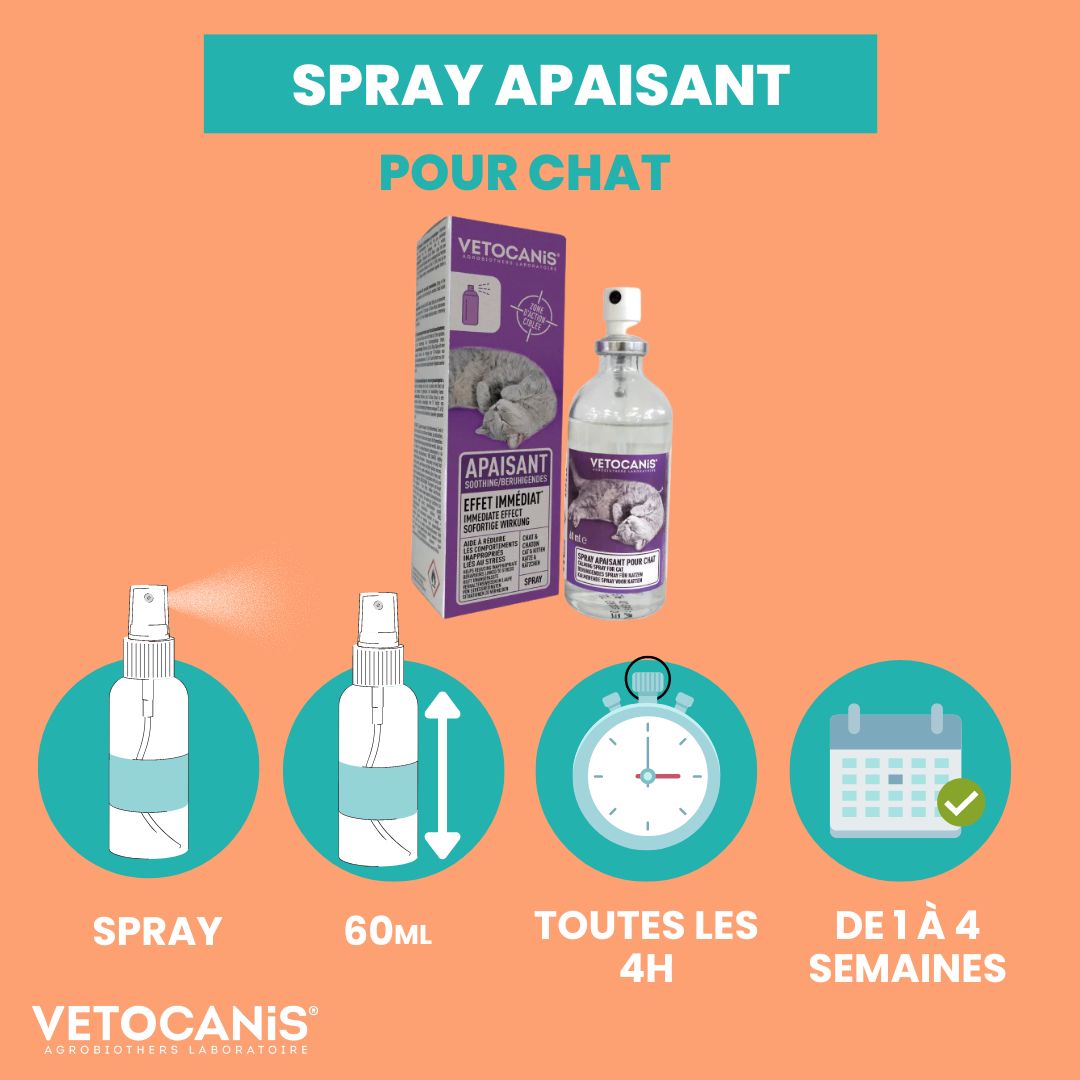 ÔCALM Solution calmante pour les chats - Phéromones (Spray 29 ml)-Pharmacie  VEAU