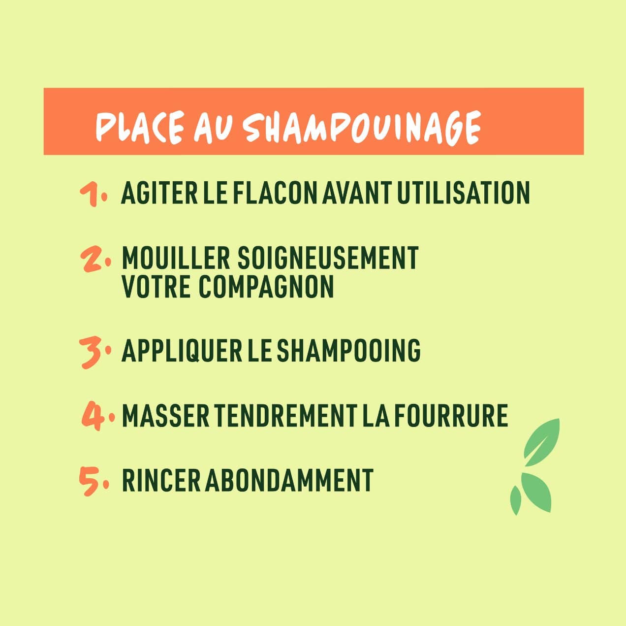 Conseils pour le shampouinage chien shampoing Vetocanis a faire soi même